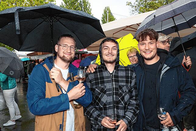 Bild 11: Ein Prosit der Gemütlichkeit! Fotos vom zweiten Abend beim Reichenauer Weinfest 2025