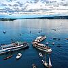 Flottenstern auf dem Untersee am Seezeichen 6 zwischen Horn, der Reichenau und dem schweizerischen Berlingen. Vier ...
