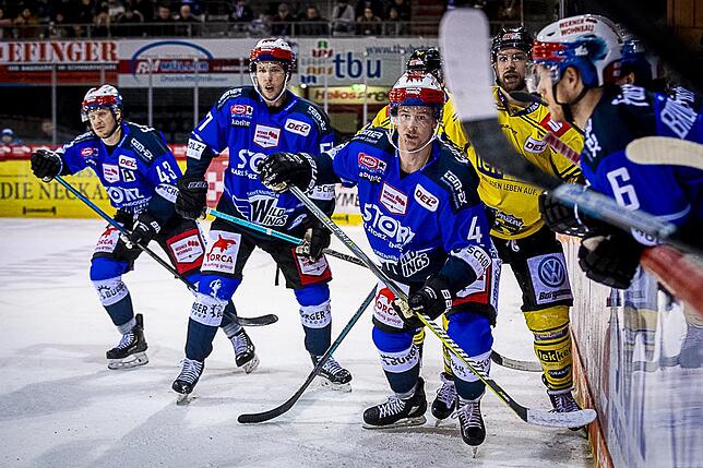 Bild 39: Bilder: Wild Wings vs. Krefeld Pinguine
