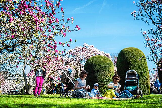 Ein Picknick im Grünen bietet sich perfekt für den Muttertag an.