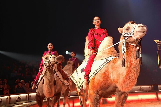 Bild 12: Circus Krone in Konstanz: Eindrücke vom glanzvollen Premierenabend der Manege – die besten Bilder!