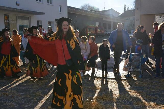 Bild 27: Bilder vom Narrentreffen der Urviecher-Zunft Bad Dürrheim: Großer Festumzug (5)