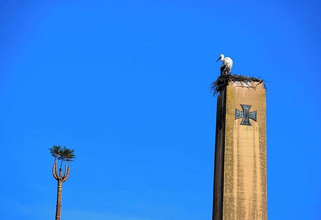 Bild 2: &bdquo;Ohhh, guck, d&lsquo; Storch isch da!&ldquo; Die Stockacher freuen sich, dass Hans wieder im Nest in der Oberstadt klappert