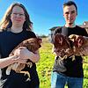Sinja und Simon Ruh vom Geflügelhof Ruh in Gottmadingen vermieten keine Hühner mehr. Die Tiere leben nun dauerhaft auf dem Geflügelhof.
