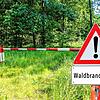 Erhöhte Waldbrandgefahr: Das Landratsamt Waldshut hat nun eine Polizeiverordnung erlassen. (Symbolbild)