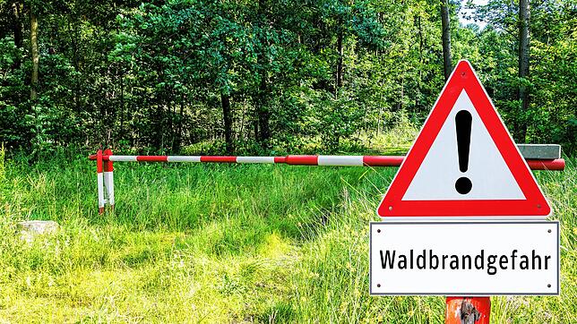 Erhöhte Waldbrandgefahr: Das Landratsamt Waldshut hat nun eine Polizeiverordnung erlassen. (Symbolbild)