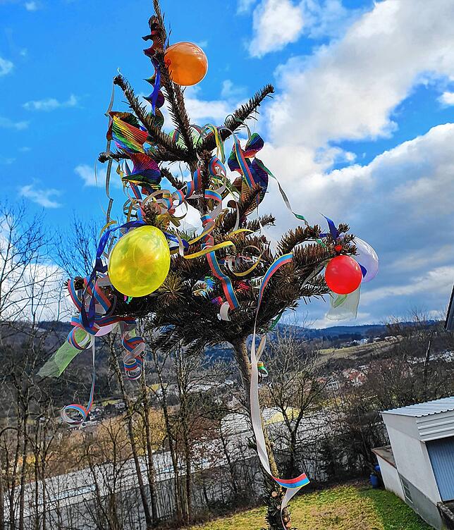 Zweite Karriere für den Weihnachtsbaum als kleiner Narrenbaum auf dem heimischen Balkon.