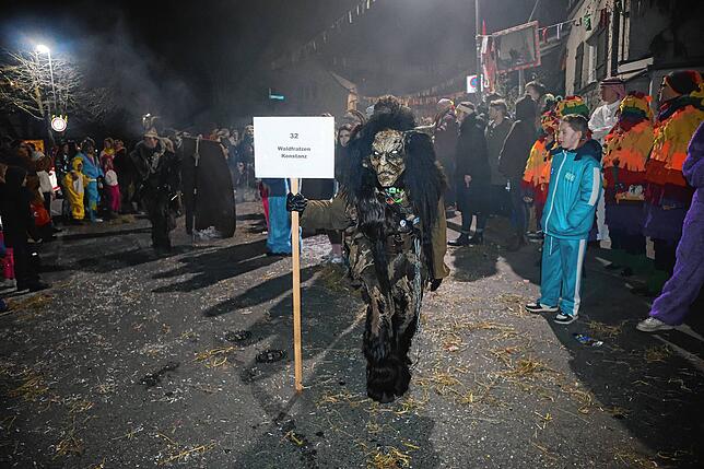 Bild 20: Nachtumzug Möggingen 2025: Fasnacht in Bildern – 30 Gruppen in voller Pracht