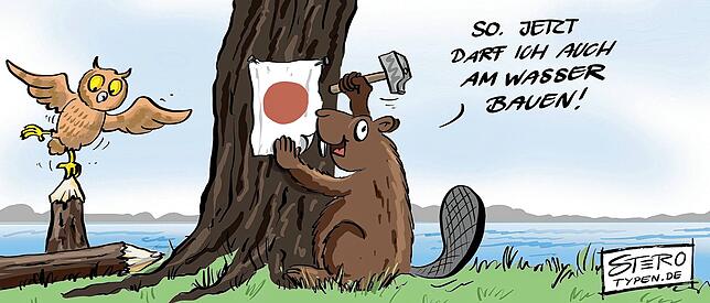 Bild 11: Karikatur der Woche: Überlingen hat sie jetzt, die Halle für jeden Sport und alle Bälle
