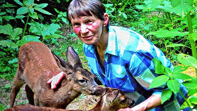 Margrit Wirth lebt mit ihrem Mann Eberhard auf der Fuchsfarm in Überlingen. In den vergangenen 30 Jahren päppelte das Ehepaar etwa 3000 ...