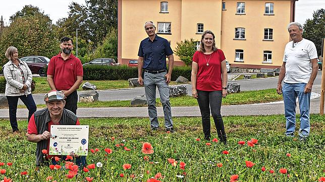 Mehr Lebensqualität für die Honigsammler wollen der Bezirksimkerverein und die Stadt Meßkirch schaffen. Auf dem Bild sind Michaela ...