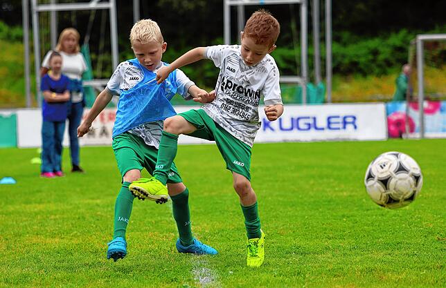 Bild 1: Unsere große Bildergalerie vom Bambini-Turnier beim Schlossseecup des FC RW Salem