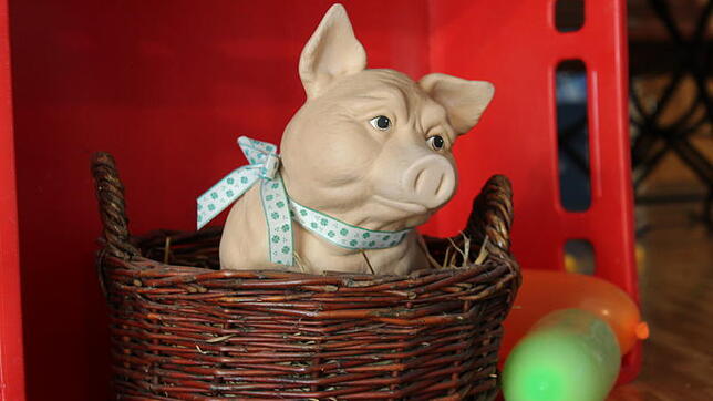 Schwein oder nicht Schwein, das ist im Theaterstück die Frage.