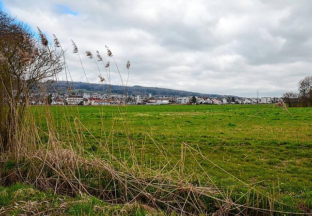Im Bereich Öhmdwiesen im Südwesten der Stadt soll ein neues Baugebiet entstehen.