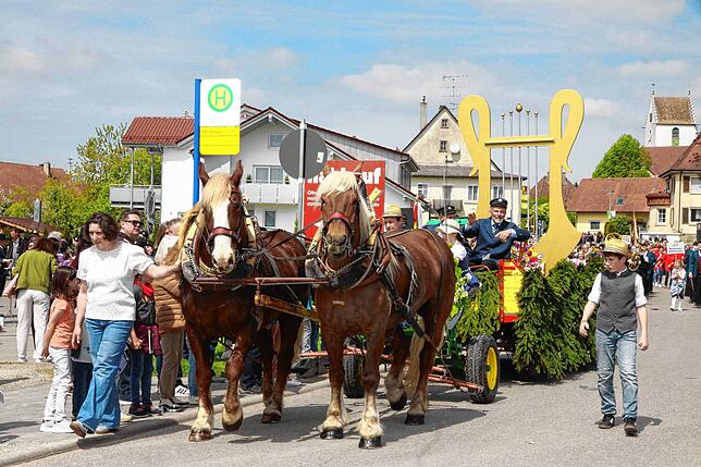 Bild 9: Gute Stimmung beim Jubiläumsumzug des Musikvereins Liggersdorf im Rahmen des Bezirksmusikfestes