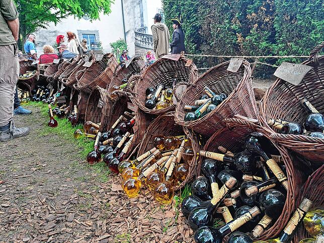 Bild 21: So bunt ist das Mittelalterliche Spectaculum in Bad Säckingen (2)