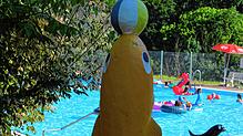 Die Schwimmfreunde Stühlingen haben ihr 20-jähriges Bestehen im Sommer mit einem großen Fest gefeiert.