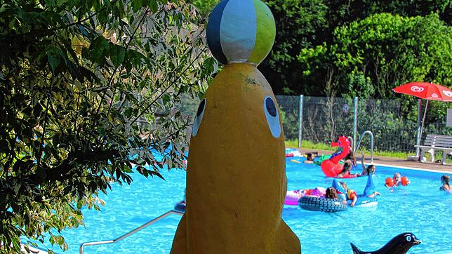 Die Schwimmfreunde Stühlingen haben ihr 20-jähriges Bestehen im Sommer mit einem großen Fest gefeiert.
