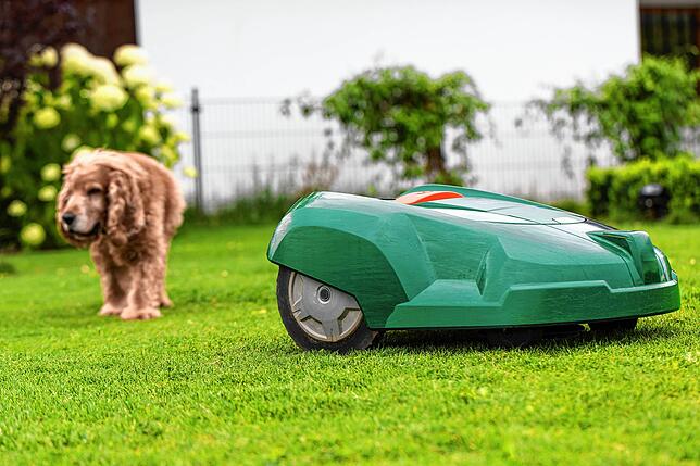 Ein Mähroboter ist praktisch, bei großer Trockenheit aber Gift für den Rasen.