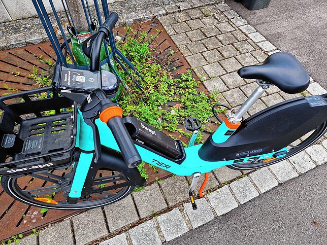 In Friedrichshafen gibt es sei Ende April nicht nur 250 Leihroller, sondern auch 200 Pedelecs. Das hatte sich der Gemeinderat so gewünscht.