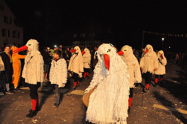 Bild 21: Bilder vom 16. Nachtumzug des Narrenverein Moschtobst in Ahausen