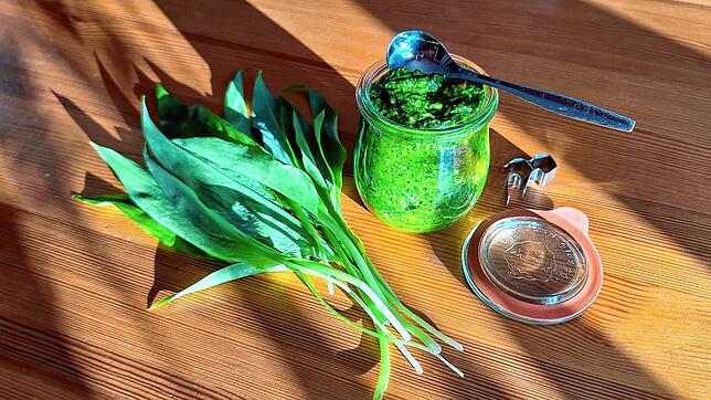 Nicht nur geschmacklich, auch optisch überzeugt das frische Bärlauchpesto mit seiner grünen Farbe.