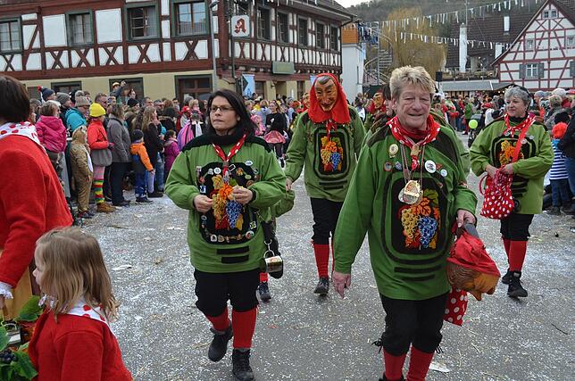 Bild 39: Eigeltinger Narrentage: Der Sonntagsumzug in Bildern (3)