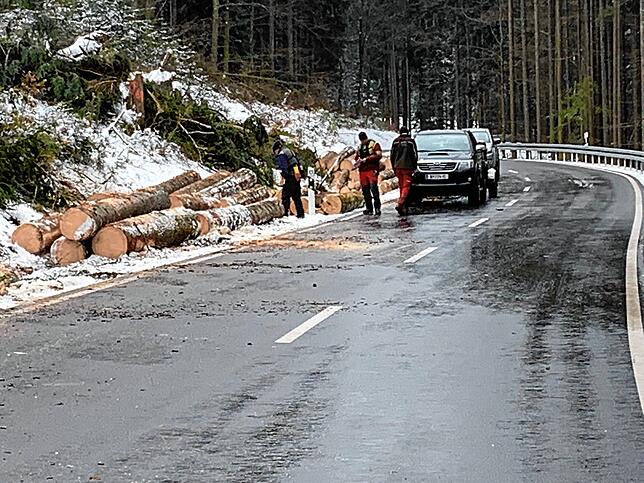 Bild 5: Erst Sturmtiefs, dann Coronavirus und bald Borkenkäfer: Aufräumarbeiten im VS-Wald werden nicht leichter &ndash; weiterhin Lebensgefahr für Besucher