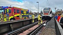 Auch der Seehas muss warten. Feuerwehrleute holen am Mittwochvormittag einen Schwan von der Bahnanlage auf der Alten Rheinbrücke.