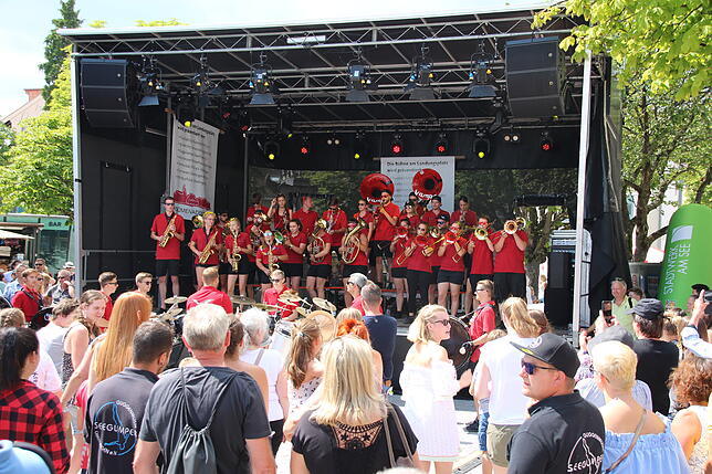 Bild 10: Bilder vom Überlinger Promenadenfest