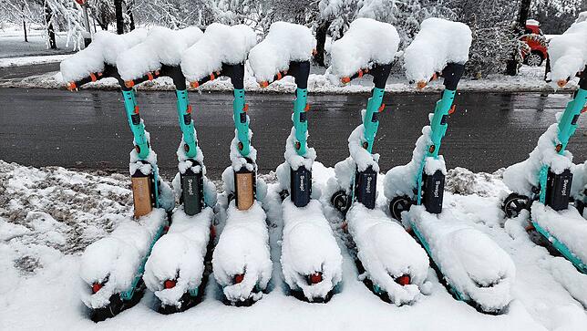 Bild 39: Was für ein Wintereinbruch am Bodensee: Die schönsten Schnee-Bilder vom Wochenende