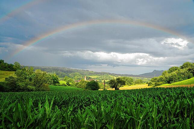 Die Randen-Landschaft um Tengen und Blummenfeld – hier hier mit dem Schloss unterm Regenbogen, ist das Ziel der Monsterwanderung, die am ...