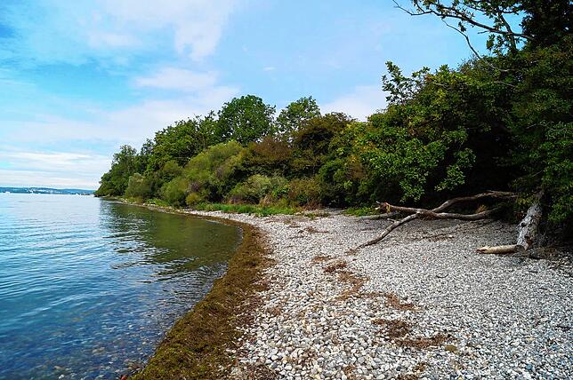 Die kleinste Bodenseegemeinde verfügt über einen kleinen Strand mit bester Sicht nach Meersburg, Konstanz und zum Schweizer Seeufer.