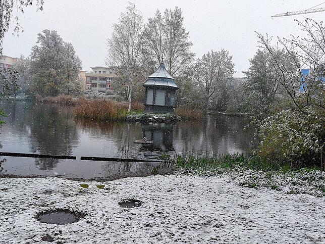 Diese Ente am Eisweiher putzt sich unverdrossen.