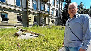 So grün und bunt kann die Zukunft einer solchen Fläche schon nach einigen Monaten aussehen – wie hier vor dem Bauamt in der ...