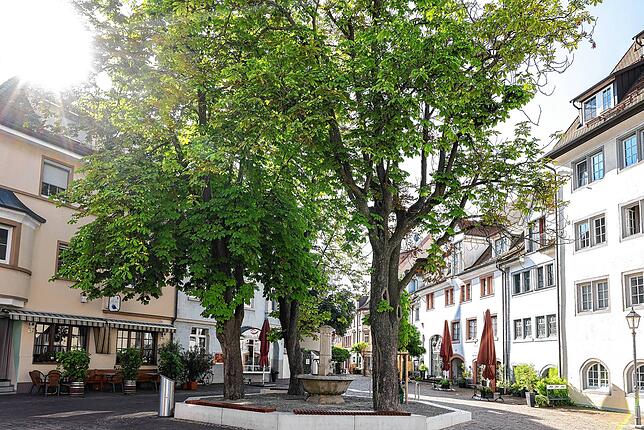 Forsteibrunnen mit Blick in die Seestraße.