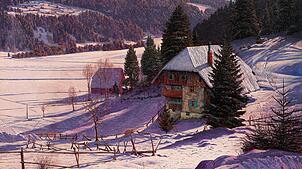 Eines der im Skimuseum Hinterzarten gezeigten Gemälde: Hermann Dischlers &bdquo;Baerental&ldquo; aus dem Jahr 1920.