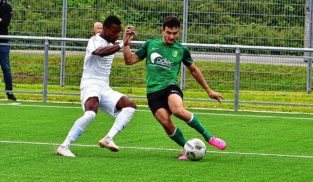Bild 7: SV Herten besiegt den VfB Waldshut mit 3:0 &ndash; und wir haben die Bilder!