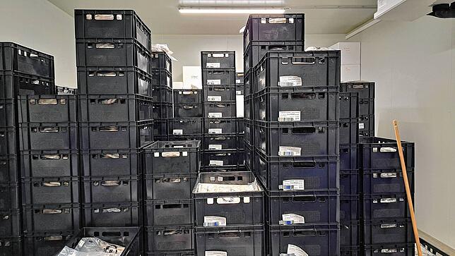 Diese abgepackten Garnelen lagern im Frostraum.