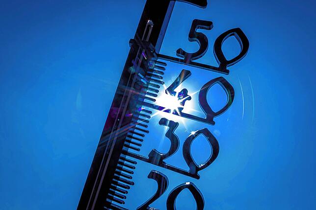 Besonders wichtig bei sommerlichen Temperaturen jenseits der 30-Grad-Marke: Viel trinken und sich nicht zu lange der direkten ...