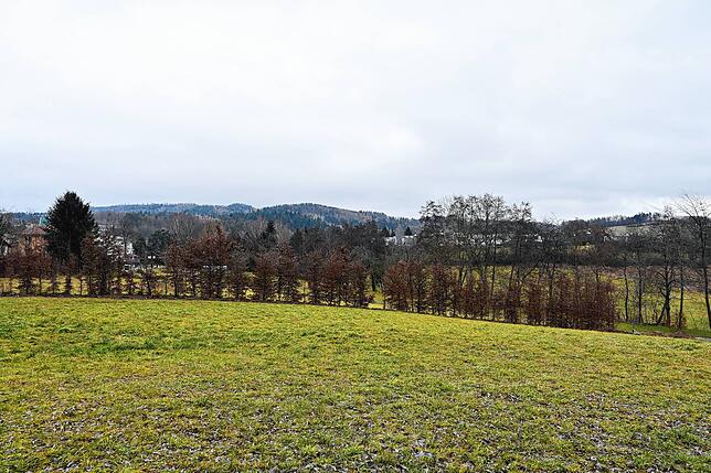 Auf dem Gelände der Familie Oßwald in Owingen soll bald ein Feriendorf entstehen. Auf 1,4 Hektar sollen dann 15 Ferienhäuser stehen. ...