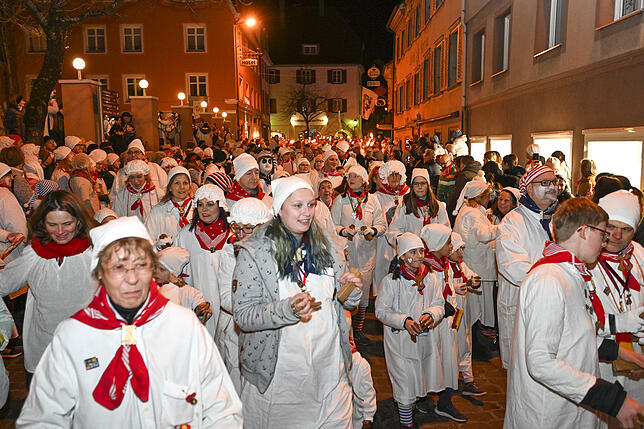 Bild 14: So schön war der Hemdglonkerumzug in Radolfzell &ndash; mit Videos!