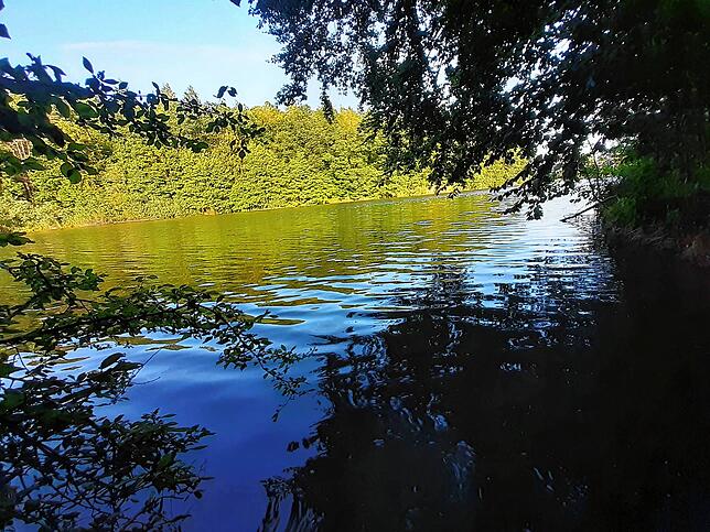 Idylle am Neuweiher