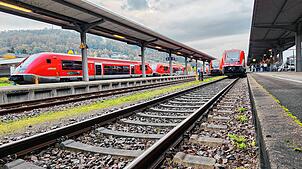 Die Hochrheinbahn verbindet Konstanz und Basel miteinander und fährt entlang des Hochrheins.