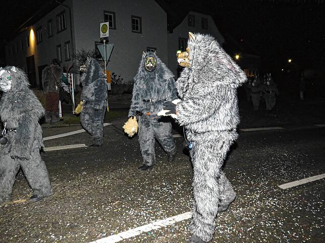 Bild 6: Mit dem Nachtumzug startet das Narrentreffen in Gutmadingen