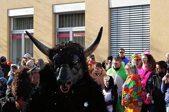 Bild 9: Bilderstory: Umzug und Narrenbaumstellen in Rickenbach begeistern die Zuschauer