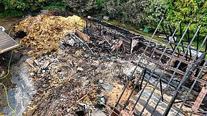 Bild : Feuer in Eriskirch: 40 Rinder verenden in brennender Scheune
