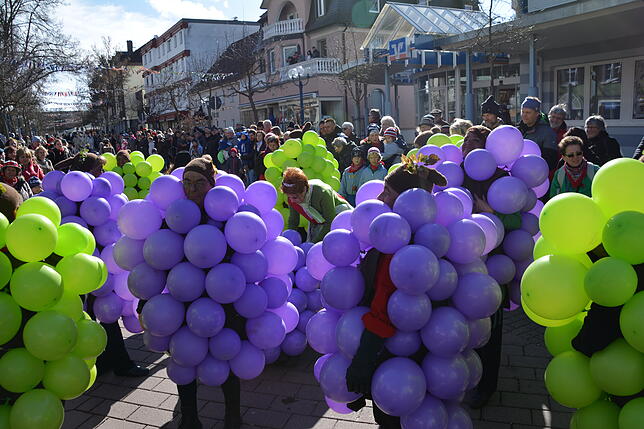Die Zunftwieber sind als Weintrauben eine knallbunte Augenweide und haben natürlich auch ein gutes Tröpfchen dabei. Alle Bilder: Sabine ...