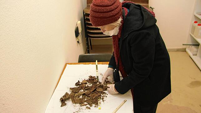 Bevor die Schädelfragmente im Au-Friedhof wieder beigesetzt worden sind, hat sie Stadthistorikerin Adelheid Enderle dokumentiert.