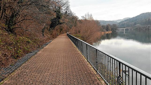 Nicht nur in Corona-Zeiten bietet der Rheinuferweg mit dem Tausendfüßler bereits heute eine Möglichkeit für Einheimische und Touristen, ...
